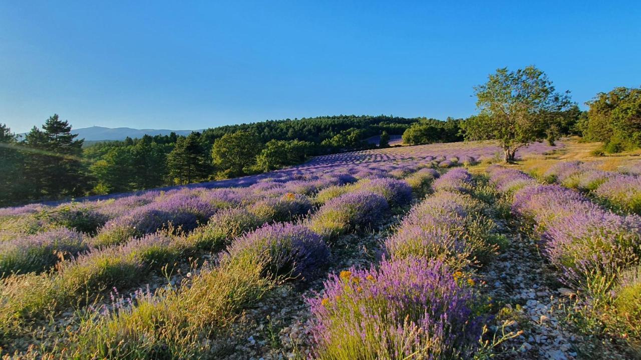 A Ventoux Yourte Monieux Ngoại thất bức ảnh