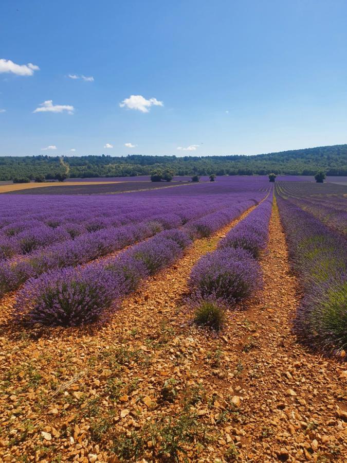 A Ventoux Yourte Monieux Ngoại thất bức ảnh