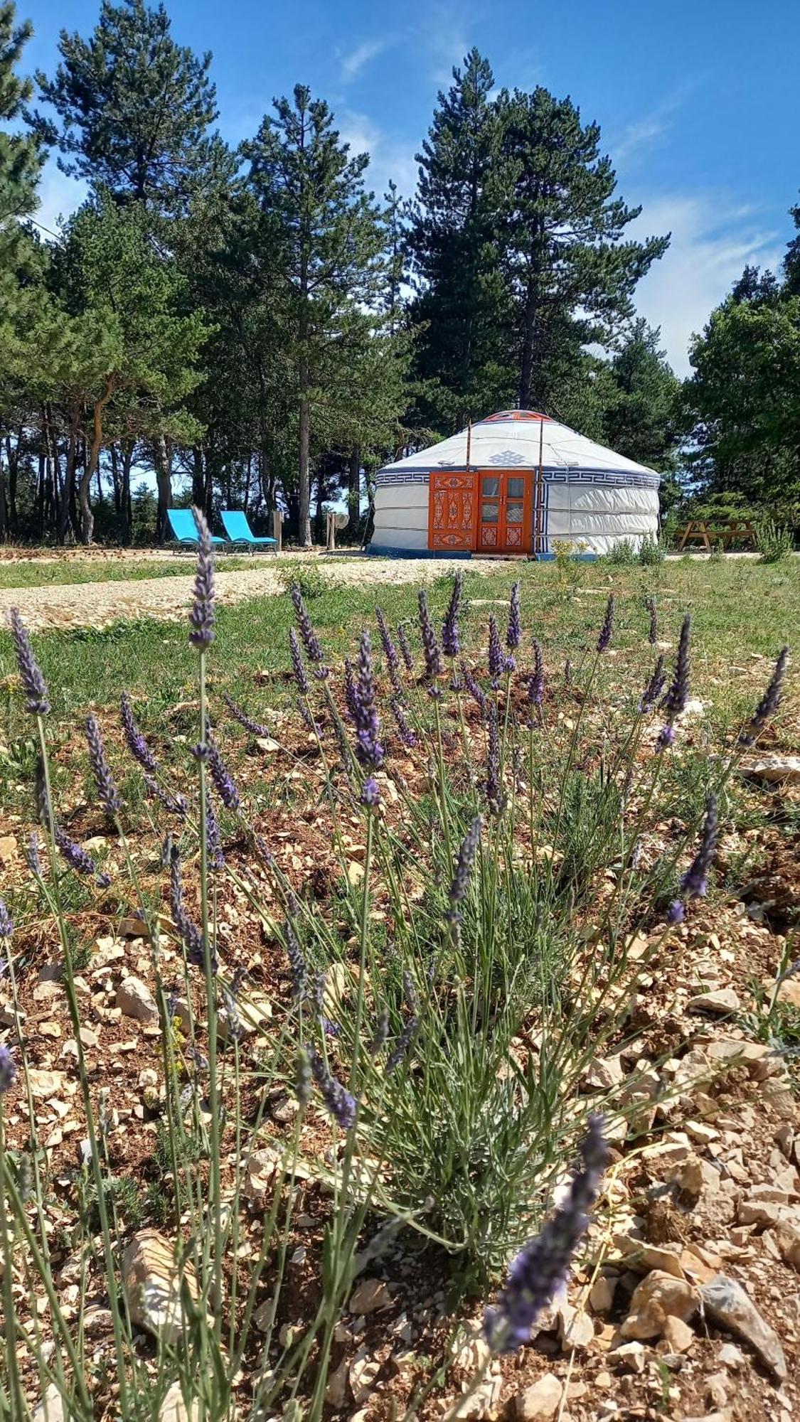 A Ventoux Yourte Monieux Ngoại thất bức ảnh