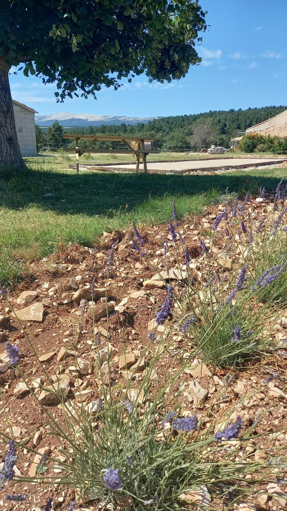A Ventoux Yourte Monieux Ngoại thất bức ảnh